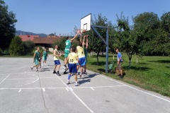 Košarka 2011