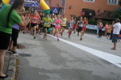 Polumaraton 2015